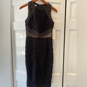 Maggy London Elegant Black Lace Dress Size 4